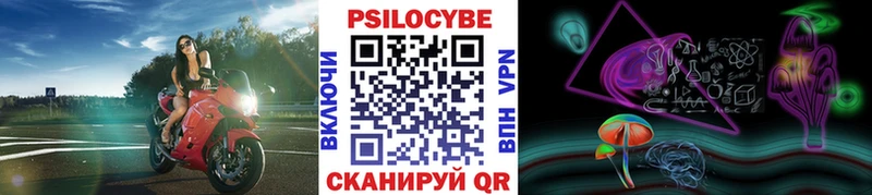 Псилоцибиновые грибы Cubensis  Заозёрск 